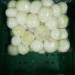WhatsApp Image 2024-03-11 at 16.19.33